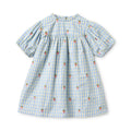 F10926 Mille SS Dress - Sky Berry Gingham